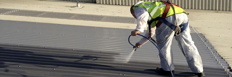 Worker Spraying Roof